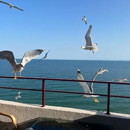 Sea Front Terrace 1 Bedroom Apt